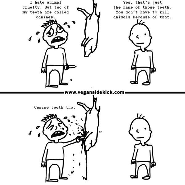 This image is a cartoon from Vegan Sidekick. It consists of two panels.

In the first panel, a distressed person holding a knife says, "I hate animal cruelty. But two of my teeth are called canines." Another person responds, "Yes, that's just the name of those teeth. You don't have to kill animals because of that."

In the second panel, the distressed person is shown aggressively tearing into a hanging animal carcass with their teeth, while saying, "Canine teeth tho." The other person stands by, looking bewildered. 

The cartoon addresses the flawed reasoning behind justifying animal cruelty based on having canine teeth.