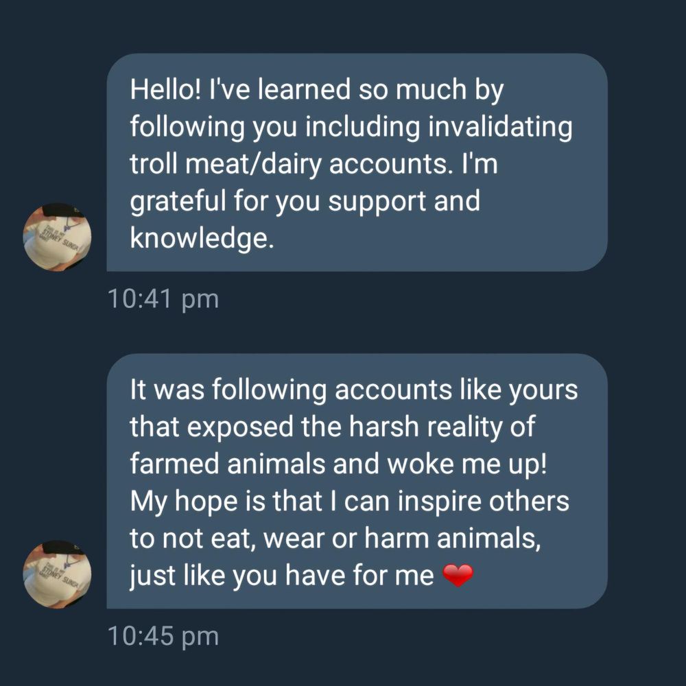 Screenshot of a social media direct message. The first message reads: 
