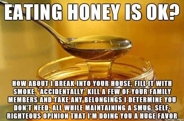 This image shows a spoon dripping honey into a jar, accompanied by bold white text at the top reading, "EATING HONEY IS OK?" Below the image, a provocative and sarcastic paragraph states: "How about I break into your house, fill it with smoke, 'accidentally' kill a few of your family members and take any belongings I determine you don’t need, all while maintaining a smug, self-righteous opinion that I’m doing you a huge favor." The message draws a parallel between human exploitation and the practice of beekeeping, implying that harvesting honey involves harm to bees, and challenges the idea that eating honey is ethical.