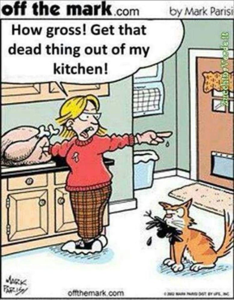 Alt text: A comic strip shows a woman pointing at her cat, who has brought a dead bird into the kitchen. The woman, standing next to a plucked and cooked turkey on the counter, exclaims, "How gross! Get that dead thing out of my kitchen!" The irony highlights the contrast between the bird the cat has caught and the dead turkey the woman is preparing, critiquing the hypocrisy of disgust towards one dead animal while accepting another for food.