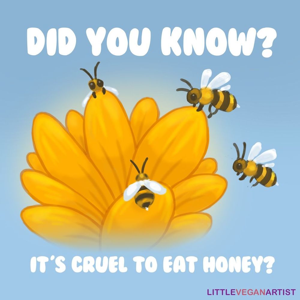 The image features a yellow flower with four bees hovering around it. Above the bees, in large white text, it reads: "Did You Know?" Below the flower, also in white text, it says: "It's Cruel to Eat Honey?" In the bottom right corner, the artist's handle "LITTLEVEGANARTIST" is visible in small text. The background is a light sky-blue color, giving the image a soft, friendly appearance.