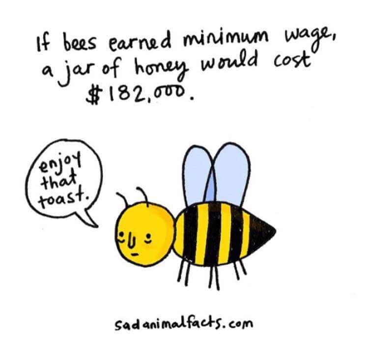 The image is a cartoon featuring a sad-looking bee with a thought bubble that says, 