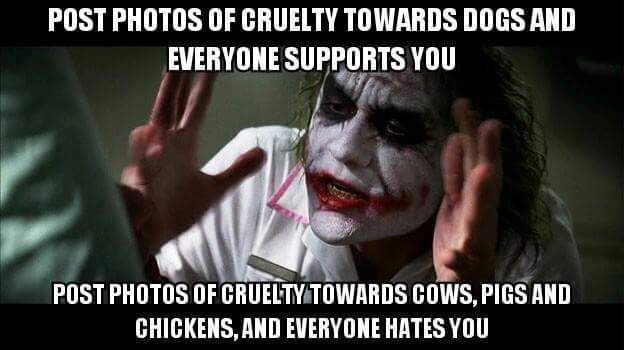 The image shows a scene from the movie "The Dark Knight," featuring the character Joker. The text is overlaid on the image and reads:

"POST PHOTOS OF CRUELTY TOWARDS DOGS AND EVERYONE SUPPORTS YOU

POST PHOTOS OF CRUELTY TOWARDS COWS, PIGS AND CHICKENS, AND EVERYONE HATES YOU"
