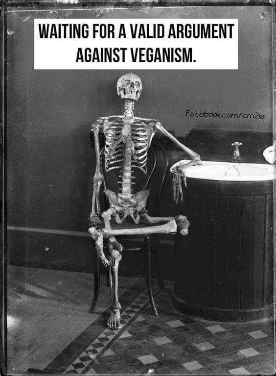 A black-and-white image of a skeleton sitting on a chair beside a sink. The skeleton is positioned in a casual pose, with one arm resting on the sink. Above the skeleton, there is a caption that reads, 