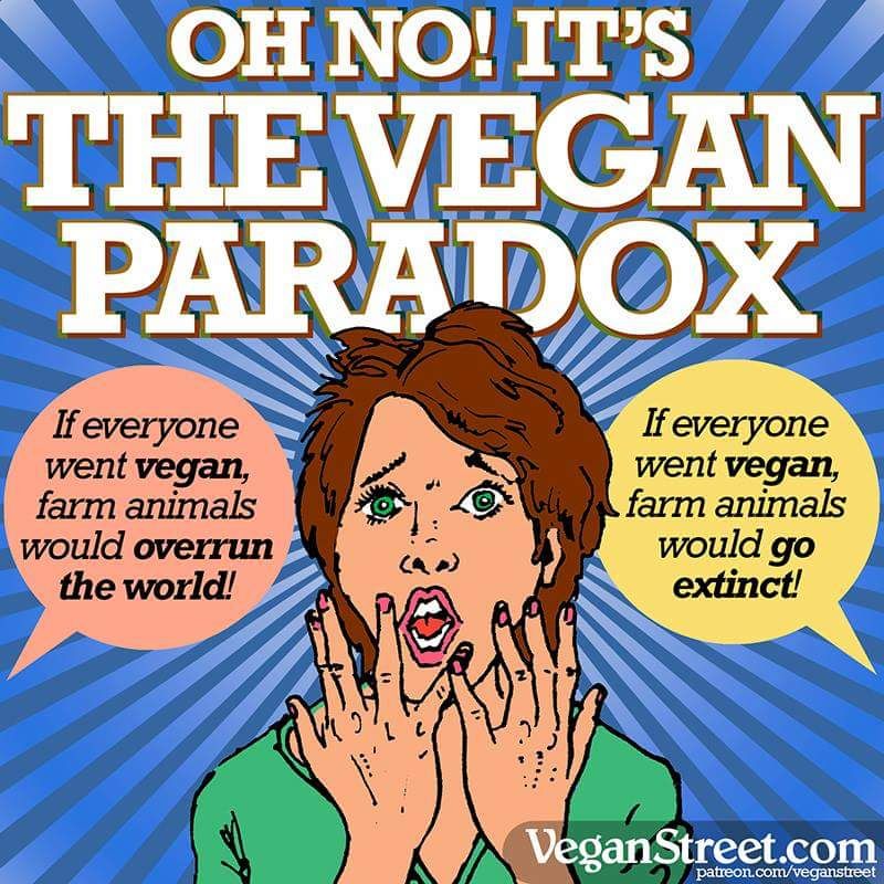 An illustrated image titled 'Oh No! It's The Vegan Paradox' featuring a distressed woman with her hands near her face, looking alarmed. On the left, a speech bubble reads, 'If everyone went vegan, farm animals would overrun the world!' On the right, another speech bubble says, 'If everyone went vegan, farm animals would go extinct!' The background has a radiating blue pattern, and the image is credited to VeganStreet.com.