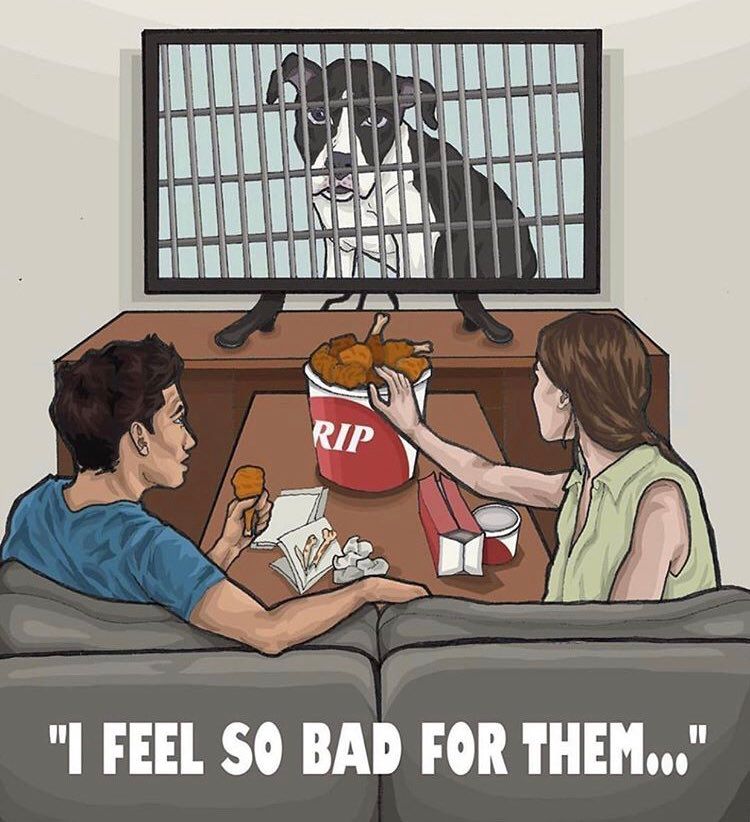Illustration of a couple sitting on a sofa eating fried chicken from a bucket labeled 'RIP.' They watch a TV showing a sad dog behind bars. Text at the bottom reads, 'I feel so bad for them...'