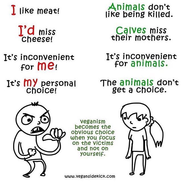 A cartoon-style image comparing common excuses for eating animal products to the reality of animal suffering. On the left side, phrases in red include "I like meat!", "I’d miss cheese!", "It’s inconvenient for me!", and "It’s my personal choice!" These are paired with green responses on the right side: "Animals don’t like being killed.", "Calves miss their mothers.", "It’s inconvenient for animals.", and "The animals don’t get a choice." At the bottom, a caption reads: "Veganism becomes the obvious choice when you focus on the victims and not on yourself." It features an angry character on the left expressing the excuses and a calm, reflective character on the right representing the vegan perspective.