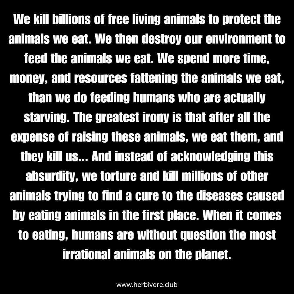 We free living billions of wild animals to protect the animals we eat. We then destroy our environment to feed the animals we eat. We spend more time, money, and resources fattening the animals we eat, than we do feeding humans who are actually starving. The greatest irony is that after all the expense of raising these animals, we eat them, and they kill us... And instead of acknowledging this absurdity, we torture and kill millions of other animals trying to find a cure to the diseases caused by eating animals in the first place. When it comes to eating, humans are without question the most irrational animals on the planet.