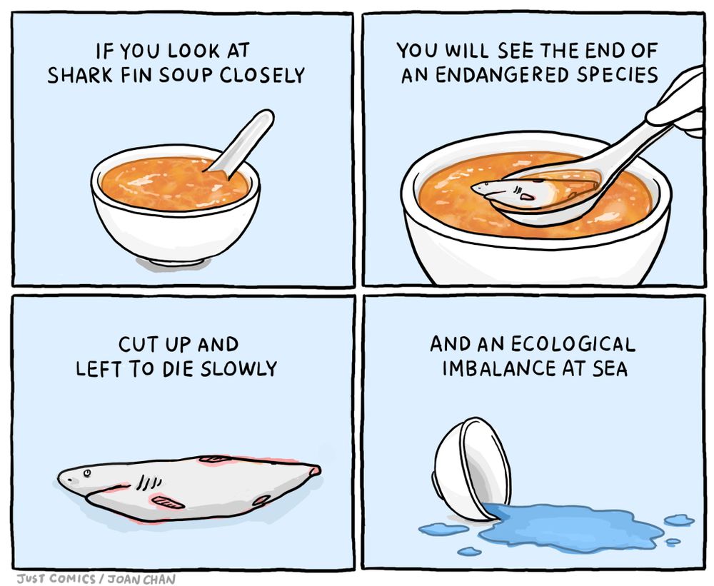 Alt text: A four-panel comic illustrating the consequences of shark fin soup. 

1. The first panel shows a bowl of shark fin soup with the caption, "If you look at shark fin soup closely."
2. The second panel zooms in on the soup, showing a small shark in a spoon, with the caption, "You will see the end of an endangered species."
3. The third panel shows a shark with its fins cut off, lying on the ground, with the caption, "Cut up and left to die slowly."
4. The fourth panel shows an overturned bowl with spilled water, symbolizing ecological imbalance, with the caption, "And an ecological imbalance at sea."

Credit: Just Comics / Joan Chan.