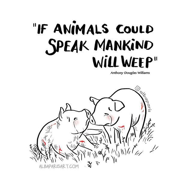 Illustration of two pigs covered in red scars or wounds, gently touching noses in a grassy field. Above them is the quote: “If animals could speak mankind will weep” – Anthony Douglas Williams. The image is signed @alba.paris, with the website albaparisart.com at the bottom. The artwork conveys tenderness and tragedy, highlighting the silent suffering of animals.
