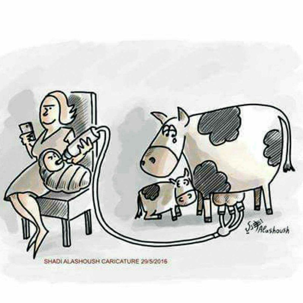 A cartoon showing a woman sitting on a chair, feeding her baby with a bottle while looking at her phone. The bottle is connected to a tube leading to a crying cow being milked by a machine. Beside the cow, her calf looks on, visibly distressed. The artwork is signed "Shadi Alashoush Caricature 29/5/2015."