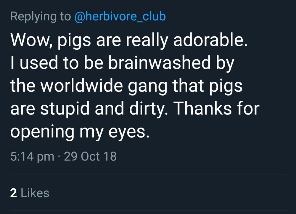 Screenshot of a tweet reply to @herbivore_club. The tweet reads: “Wow, pigs are really adorable. I used to be brainwashed by the worldwide gang that pigs are stupid and dirty. Thanks for opening my eyes.” 