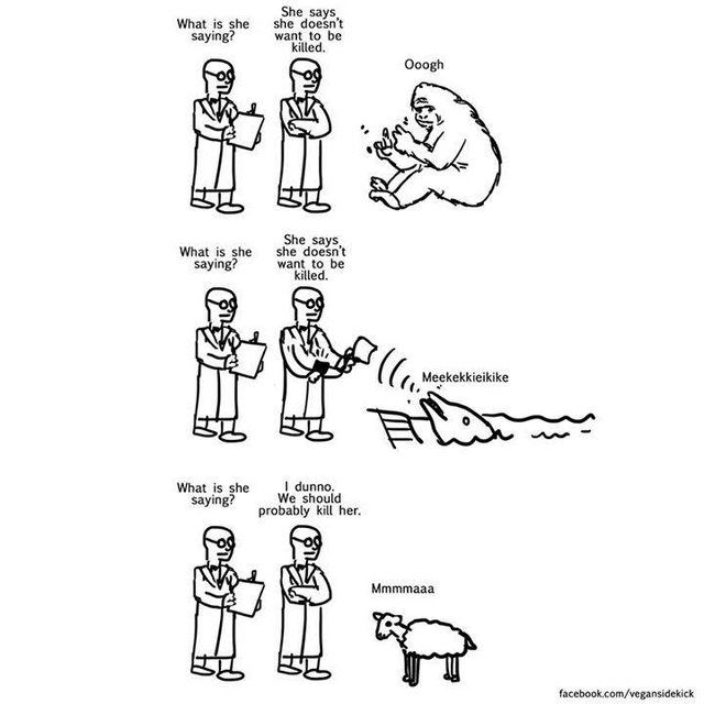 A cartoon showing three different scenarios where animals express their desire not to be killed. In each case, two humans appear to study the animals' reactions. The animals—a gorilla, a dolphin, and a sheep—make distinct sounds of distress. However, the humans, despite the clear expressions from the animals, ultimately conclude in each case, “We should probably kill her.” The drawing critiques the disconnect between humans' perception of animals and their sentient needs.