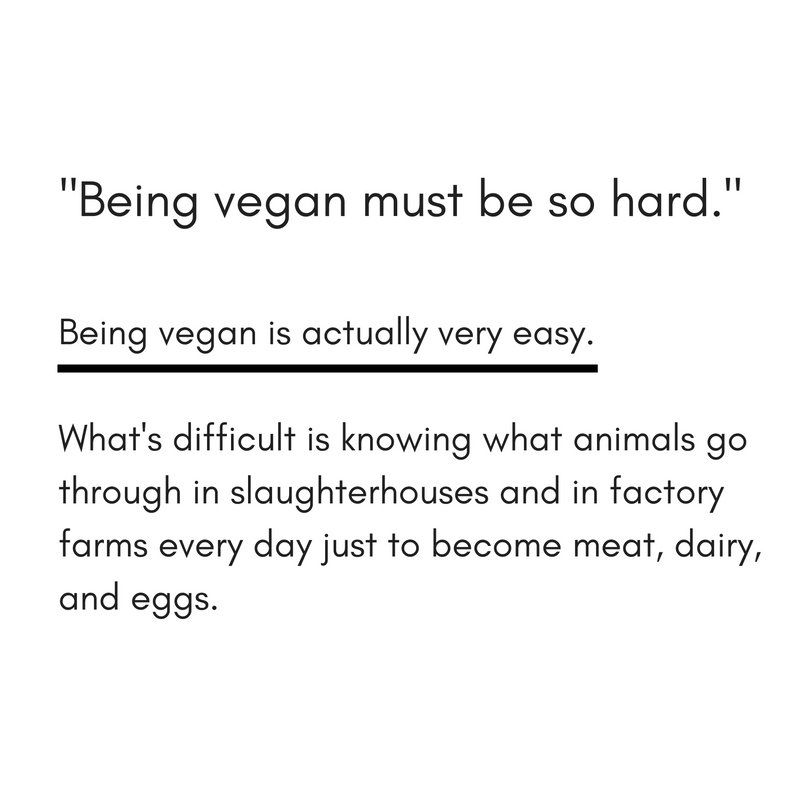 White graphic with black text. At the top is a quote: “Being vegan must be so hard.” Below, bold text reads: “Being vegan is actually very easy.” A black underline follows. Underneath: “What’s difficult is knowing what animals go through in slaughterhouses and in factory farms every day just to become meat, dairy, and eggs.”