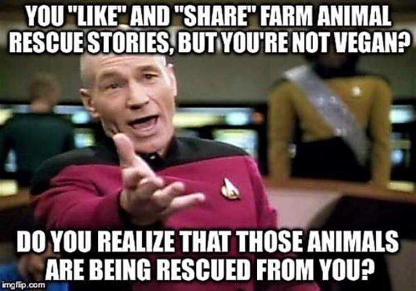 The image shows a popular meme format featuring Captain Jean-Luc Picard from Star Trek: The Next Generation. In the image, Captain Picard is expressing frustration with his hand extended forward. The text on the image reads: "You 'like' and 'share' farm animal rescue stories, but you're not vegan? Do you realize that those animals are being rescued from you?" The meme is intended to highlight the perceived hypocrisy of supporting animal rescue stories while still consuming animal products.