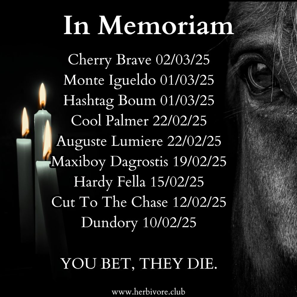 A black-and-white memorial graphic featuring a close-up of a horse’s eye on the right side and three lit candles on the left. At the top, bold white text reads **