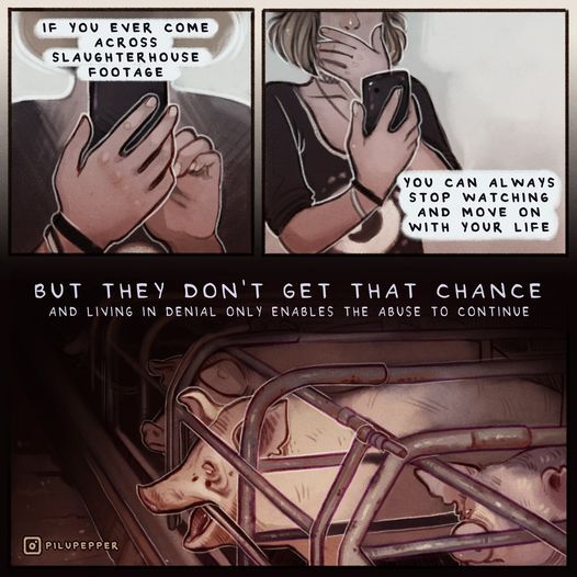A digital illustration shows a person recoiling in distress while watching slaughterhouse footage on their phone. Text reads: “If you ever come across slaughterhouse footage, you can always stop watching and move on with your life.” Below, an image of pigs confined in brutal conditions is shown, with the words: “But they don’t get that chance. And living in denial only enables the abuse to continue.”