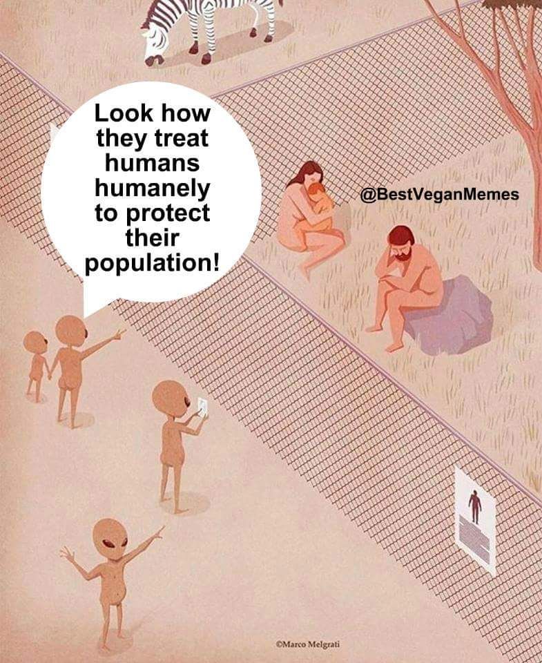 An illustration showing a zoo-like enclosure where naked humans (a man, a woman holding a baby) are sitting behind a fence, looking sad and defeated. Outside the fence, alien-like beings point, take photos, and admire them, with one saying, "Look how they treat humans humanely to protect their population!" A zebra is seen in a neighboring enclosure. The image is a satirical commentary on how humans justify captivity and exploitation of other animals.