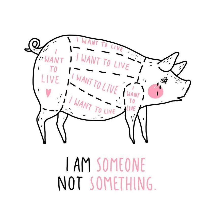 A minimalistic drawing of a sad pig with pink tears and text written across their body that reads “I want to live” multiple times in pink. The body is marked with dotted lines resembling a butcher’s diagram. Below the pig is the phrase “I am someone, not something” with “someone” and “something” highlighted in pink.