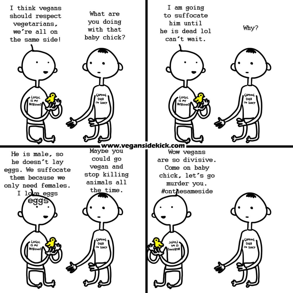 This image is a comic from *Vegan Sidekick*. 

In the first panel, one character says, **"I think vegans should respect vegetarians, we're all on the same side!"** while holding a baby chick.

The second character asks, **"What are you doing with that baby chick?"** 

The first character responds, **"I am going to suffocate him until he is dead lol can't wait."** The second character, confused, asks, **"Why?"**

The first character explains, **"He is male, so he doesn't lay eggs. We suffocate them because we only need females. I love eggs."** 

The second character suggests, **"Maybe you could go vegan and stop killing animals all the time."** 

In the final panel, the first character sarcastically responds, **"Wow, vegans are so divisive. Come on baby chick, let's go murder you. #ontheameside."**

This comic highlights the contradiction between supporting vegetarianism while still contributing to the cruelty of the egg industry.