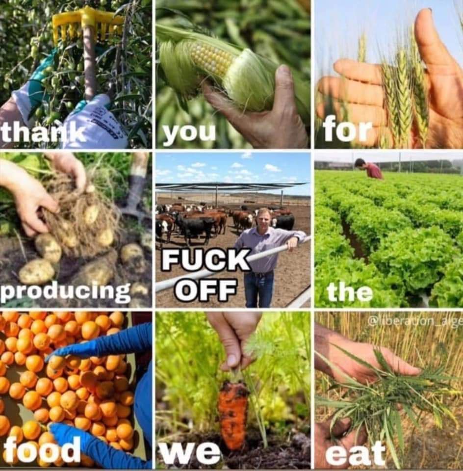 The image is a collage with nine sections, each featuring a different aspect of food production. The text is arranged to form a message when read sequentially. The sections and text are as follows:

1. Top left: A hand holding a gardening tool over a plant, with the text "thank."
2. Top middle: A hand holding an ear of corn, with the text "you."
3. Top right: Hands holding stalks of grain, with the text "for."
4. Middle left: Hands holding freshly dug potatoes, with the text "producing."
5. Middle middle: A person standing in front of a cattle pen, with the text "FUCK OFF."
6. Middle right: A person tending to a field of leafy greens, with the text "the."
7. Bottom left: Hands sorting oranges, with the text "food."
8. Bottom middle: A hand pulling a carrot from the soil, with the text "we."
9. Bottom right: Hands holding freshly harvested herbs, with the text "eat."