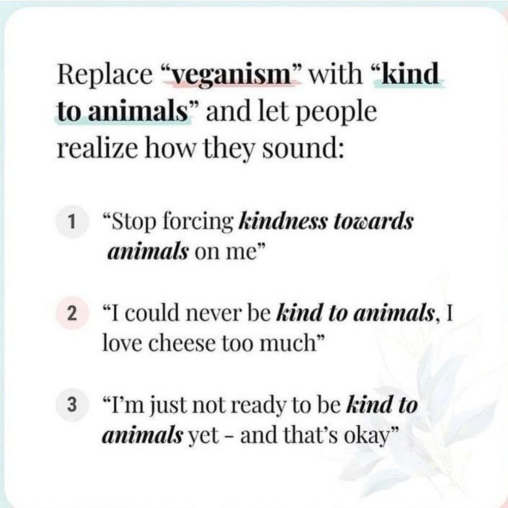 **Alt text:** A graphic suggests replacing the word "veganism" with "kind to animals" to reveal how certain statements sound. Three examples are provided:

1. "Stop forcing kindness towards animals on me."
2. "I could never be kind to animals, I love cheese too much."
3. "I’m just not ready to be kind to animals yet – and that’s okay."

This image highlights how excuses against veganism might seem when framed in terms of kindness to animals, encouraging viewers to reflect on their choices.