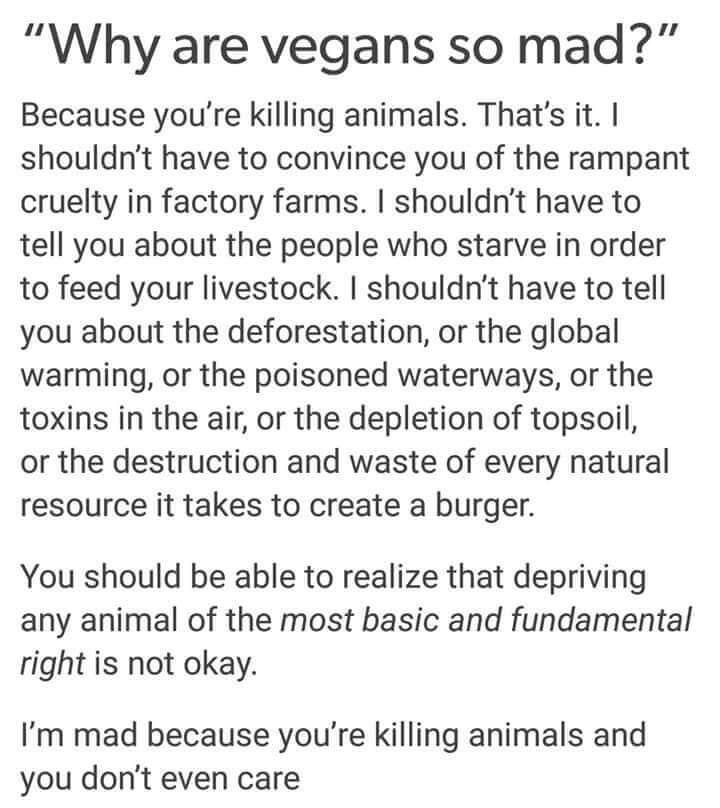 The image features a block of text answering the question, "Why are vegans so mad?" The response explains that vegans are angry because animals are being killed. It emphasizes that vegans shouldn't have to convince others of the cruelty in factory farms, the people who starve to feed livestock, or the environmental damage caused by animal agriculture, such as deforestation, global warming, and polluted waterways. The text argues that depriving any animal of their basic right to live is not okay and expresses frustration that people continue to kill animals without caring about the consequences. The final line reads, "I’m mad because you’re killing animals and you don’t even care."