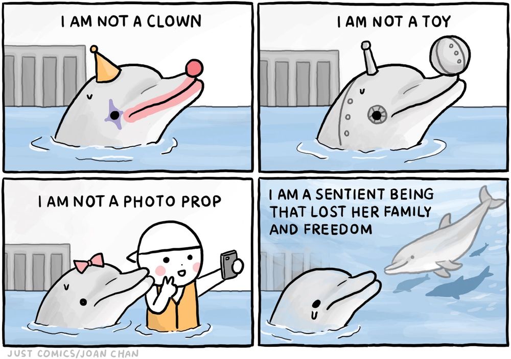 A four-panel cartoon illustration shows a dolphin in captivity expressing feelings of loss and exploitation. In the first panel, the dolphin is dressed with a clown hat and nose, with the caption "I am not a clown." The second panel depicts the dolphin balancing a ball on their nose, labeled "I am not a toy." In the third panel, the dolphin poses for a selfie with a visitor, captioned "I am not a photo prop." The fourth panel shows the dolphin alone, with the shadow of other dolphins in the background, saying, "I am a sentient being who lost my family and freedom." This comic emphasizes the individuality and emotional depth of dolphins, challenging their use in entertainment.