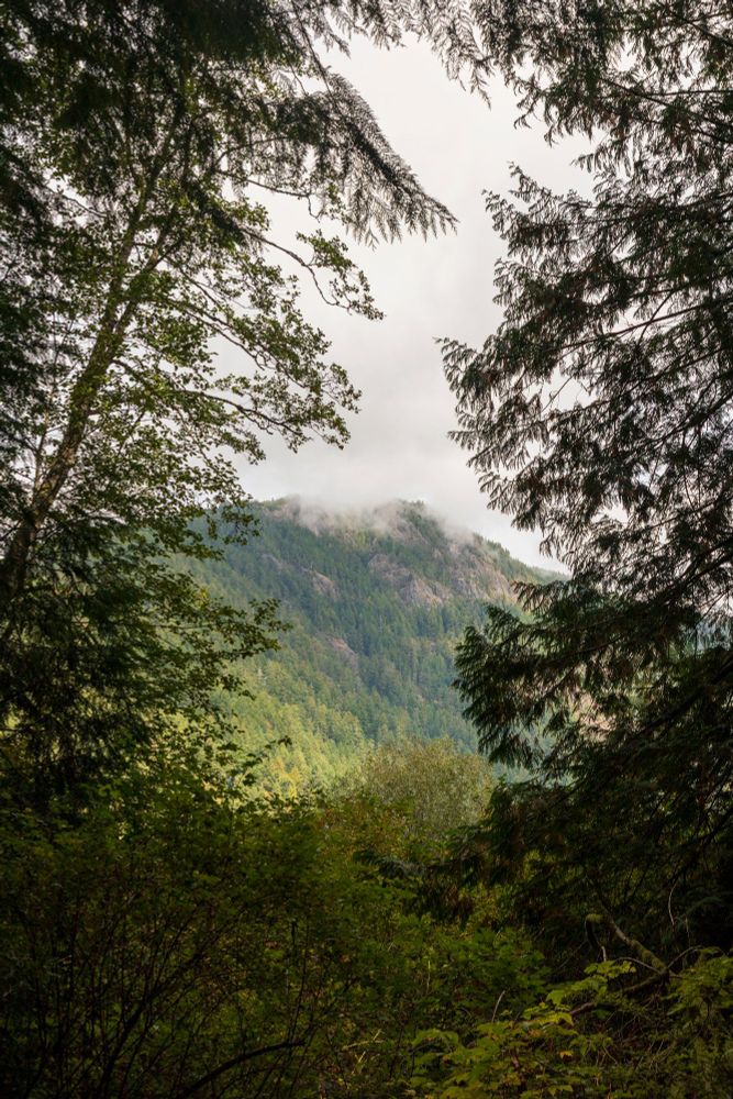 A lushly covered mountain on Vancouver Island is covered at its top by low clouds, the scene framed by tall trees on either side and thick forest covering below.