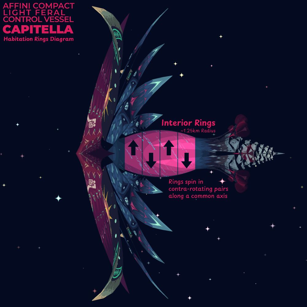 Affini Compact light feral control vessel Capitella