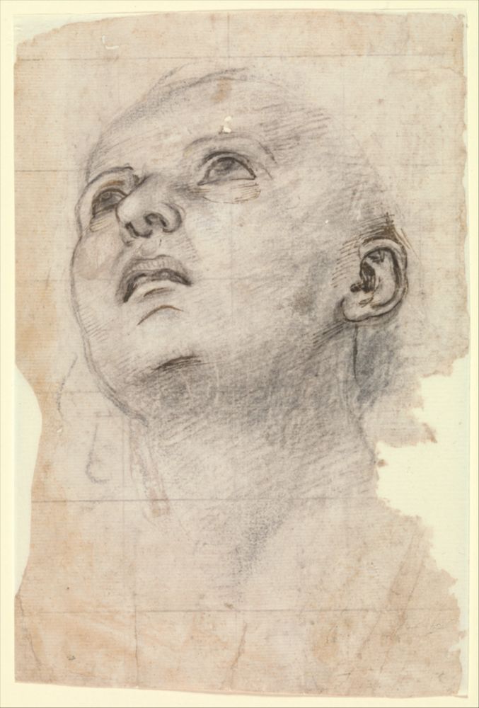 Study of the Head of a Youth Gazing Upward, Metropolitan Museum of Art, New York, NY