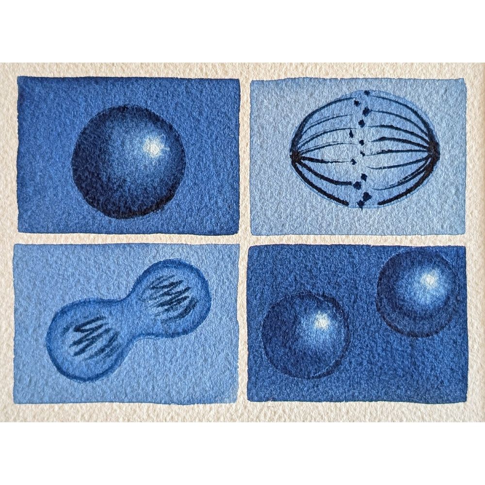 mitosis grid watercolor in blue  
