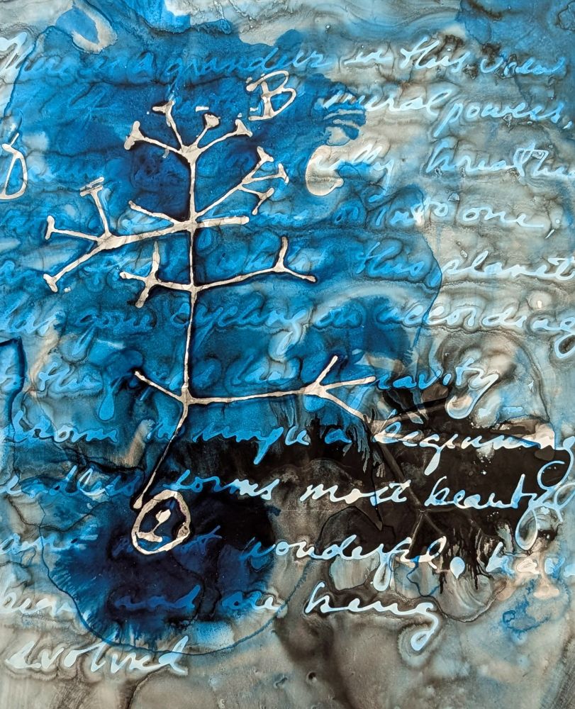 black, gray and blue ink painting with darwin sketch and text 