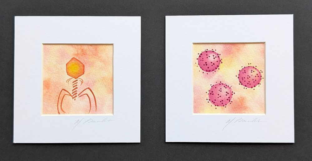 2 small watercolor paintings of viruses 