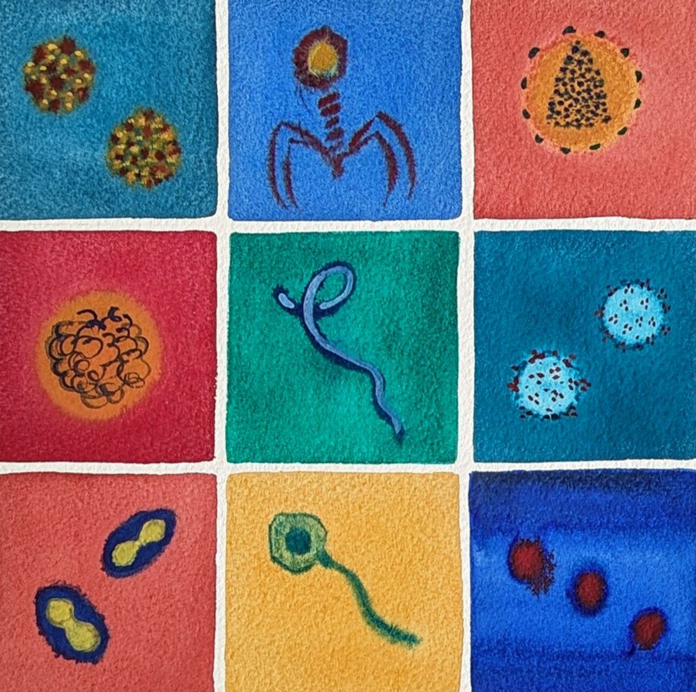 watercolor grid of virus images in deep colors 