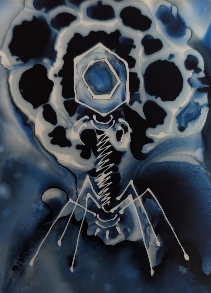 Ink painting of a bacteriophage in indigo