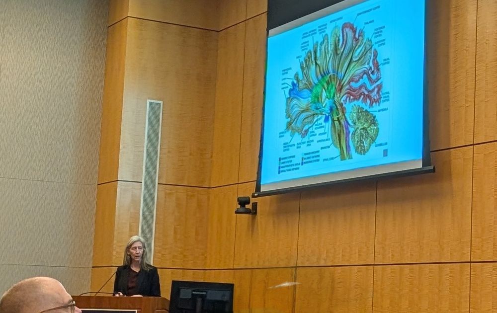 Woman speaking at lectern, large brain diagram on screen 