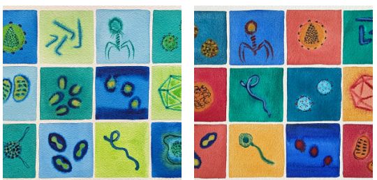 2 watercolor grids of virus images 