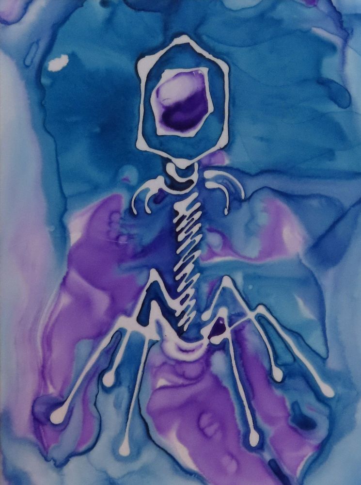 ink painting of bacteriophage in purple and blue