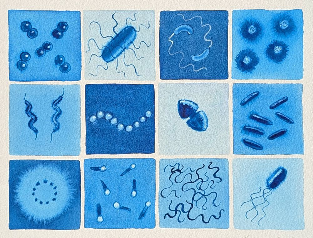 watercolor painting of bacteria images in a grid 