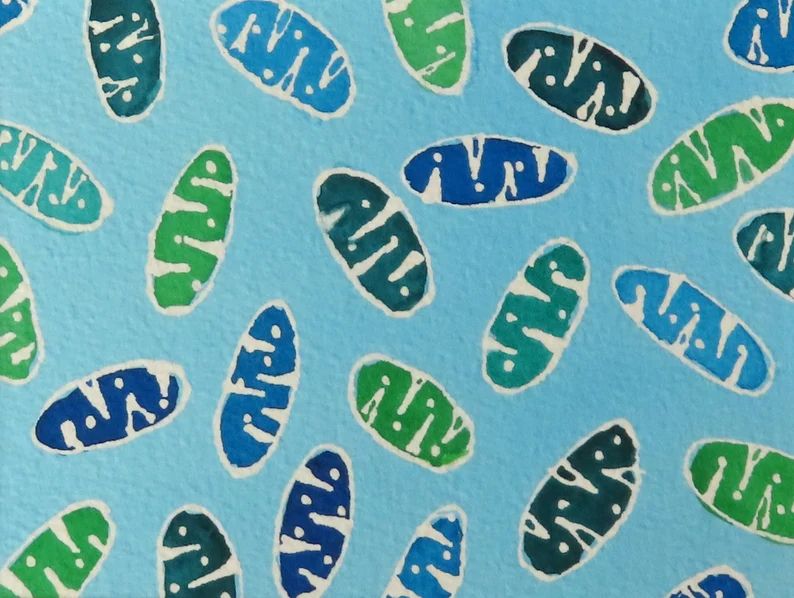 watercolor mitochondria in green and blue 