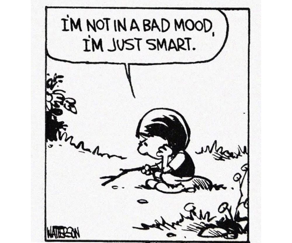 cartoon by Bill Watterson of a girl sitting on a rock looking annoyed. "I'm not in a bad mood, I'm just smart"