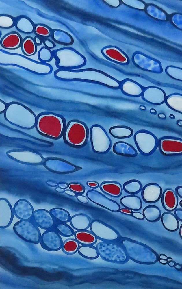 abstract watercolor in blue and red 