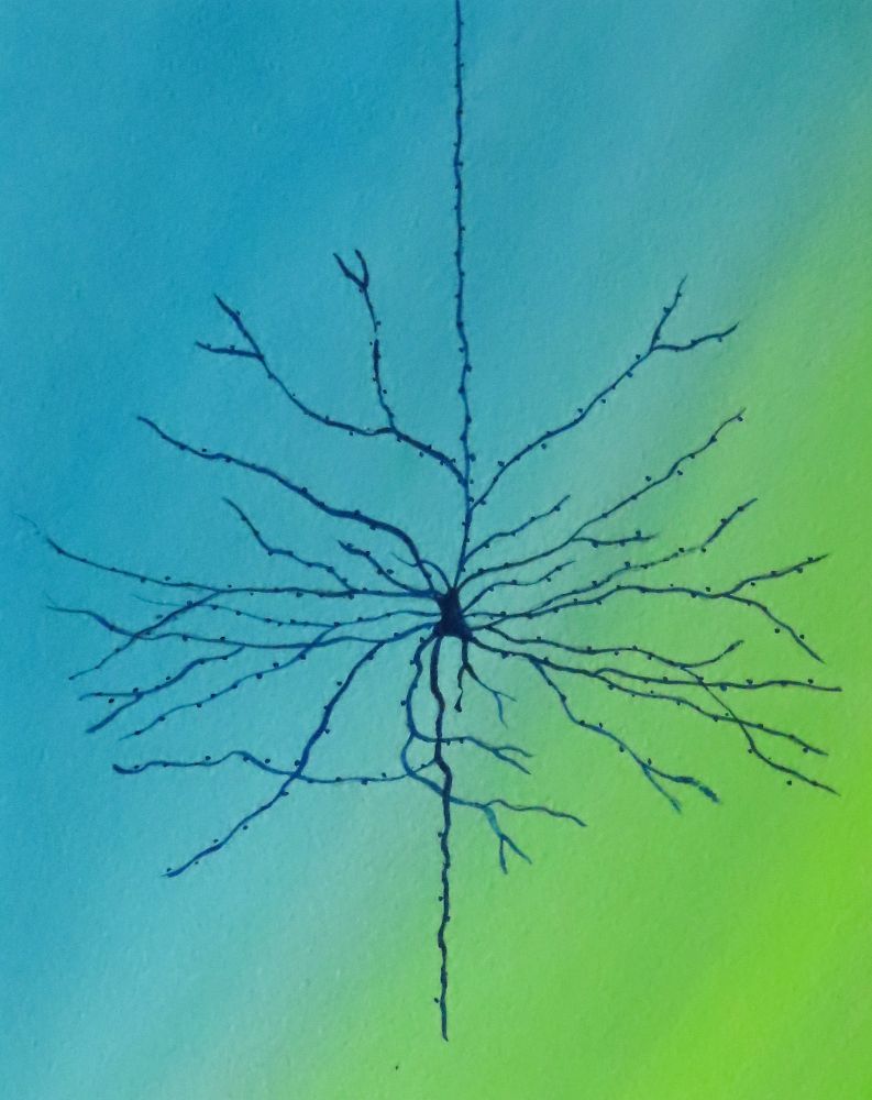 watercolor neuron