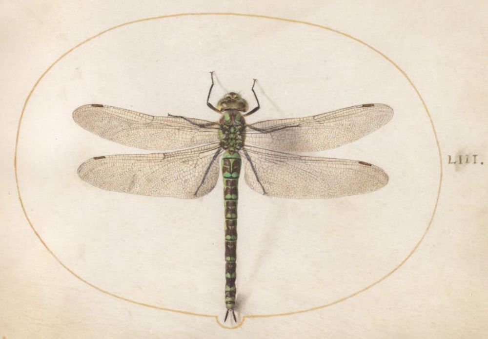 Let's Go See Some SciArt
