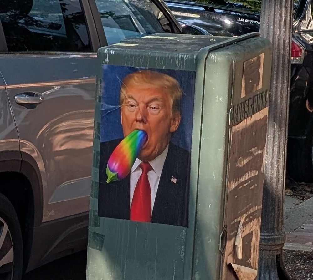 Poster of Donald Trump with a rainbow colored eggplant in his mouth