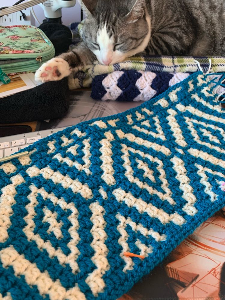 Mosaic crochet project in blue-and-white diamond motif pattern