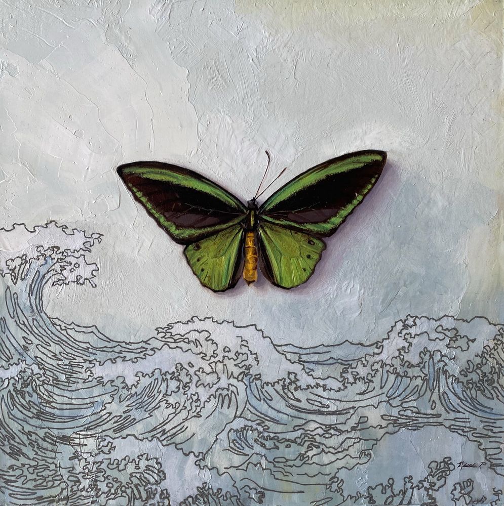 A painting of a Poseidon bird wing butterfly on a textured off-white background with the outlined illustration of ocean waves framing the bottom.