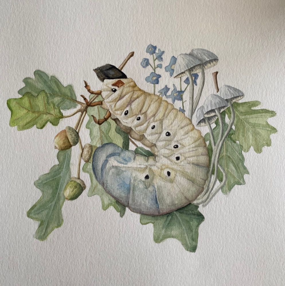 Watercolor painting of a beetle larvae with oak leaves and fungi behind it.