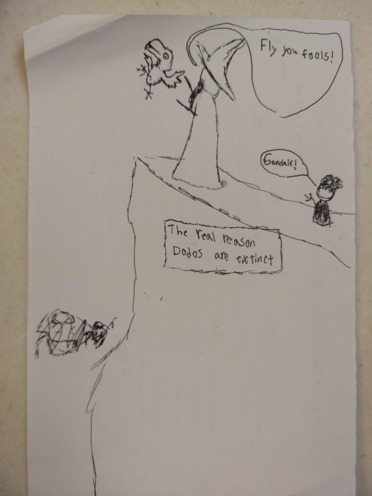 A scribbled drawing done by a child of Gandalf throwing a dodo off a cliff shouting, fly you fools. Frodo is behind him shouting Gandalf! At the bottom of the cliff is a bunch of scribbles representing dead dodos. A square caption reads the real reason dodos are extinct.